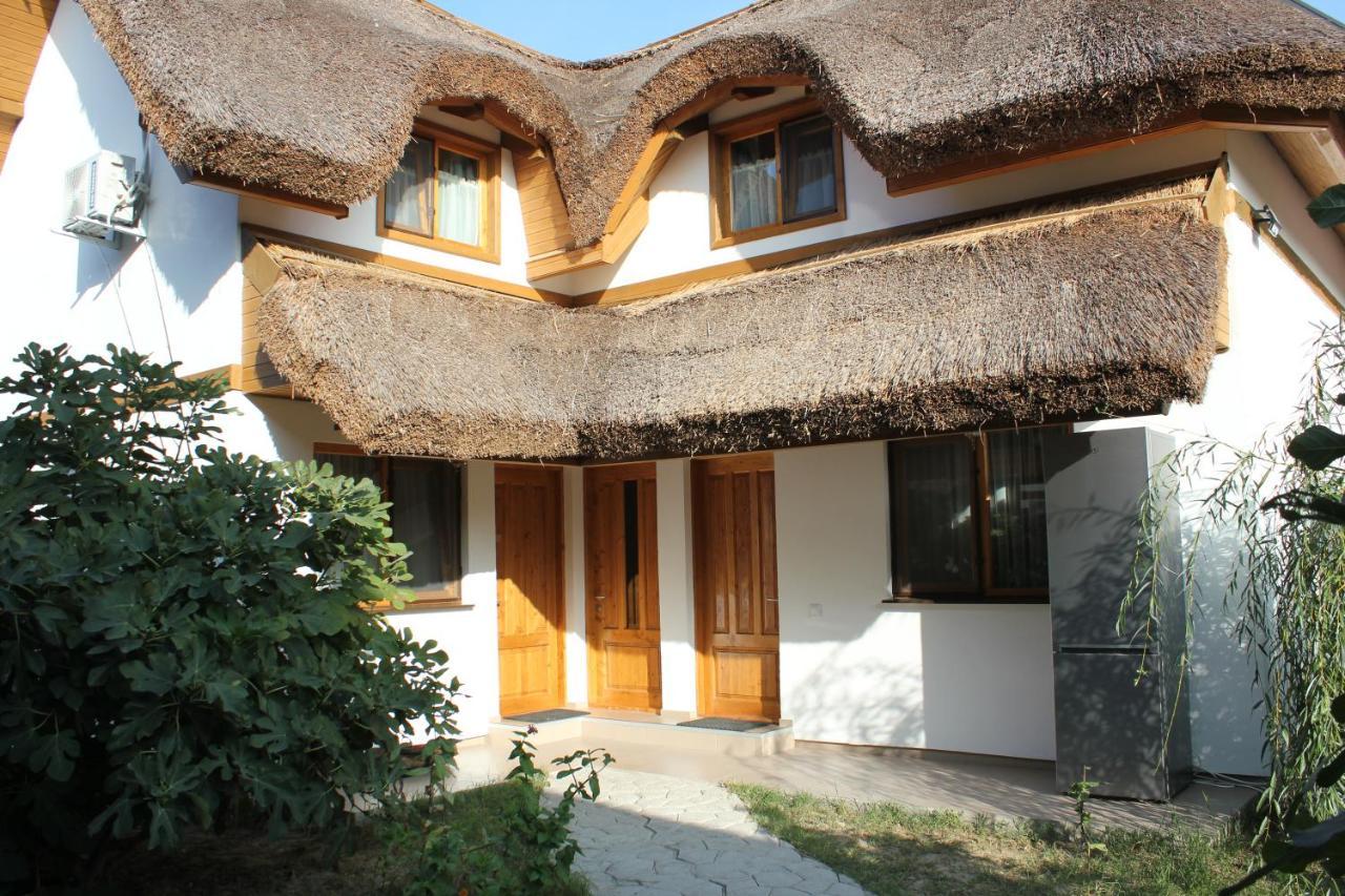 Hotel Cerdacul Cu Stuf Sfântu Gheorghe Zewnętrze zdjęcie