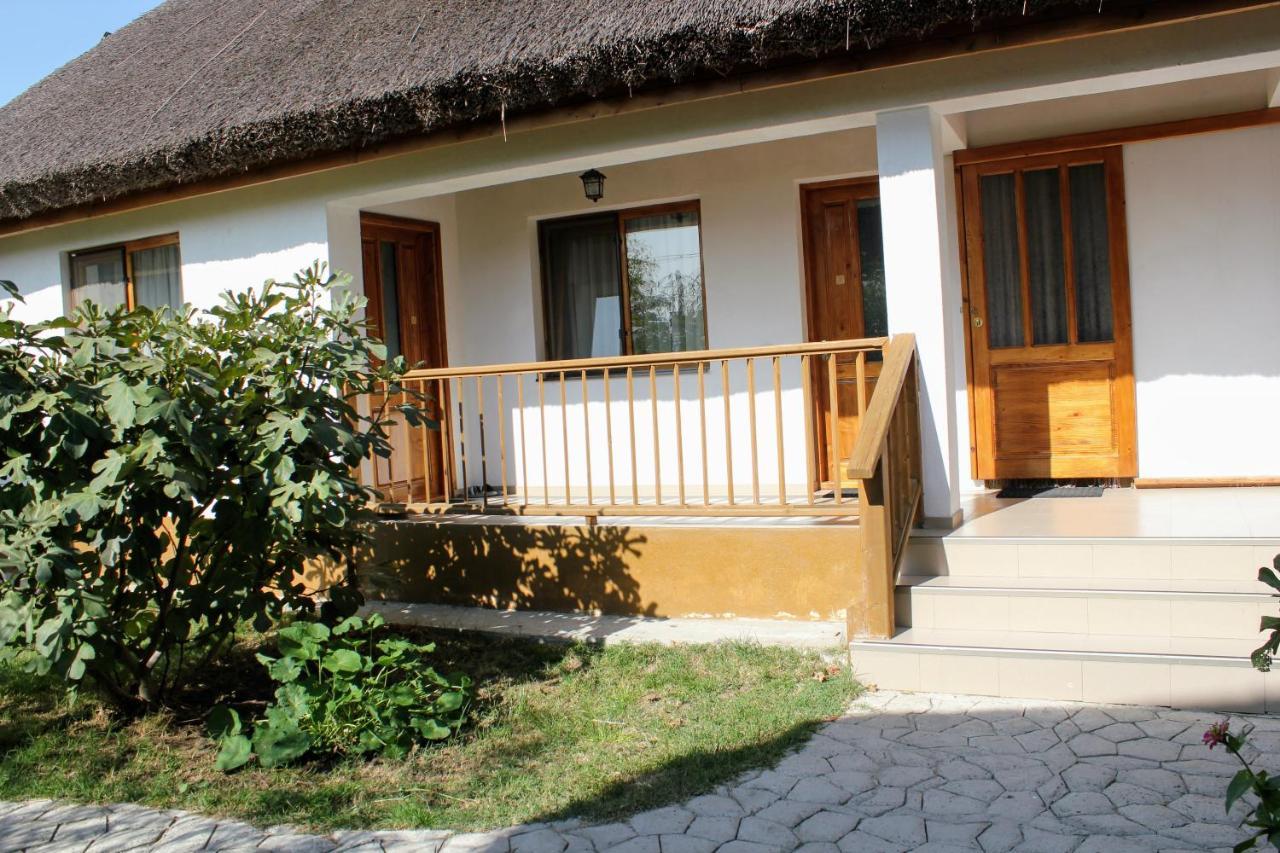 Hotel Cerdacul Cu Stuf Sfântu Gheorghe Zewnętrze zdjęcie