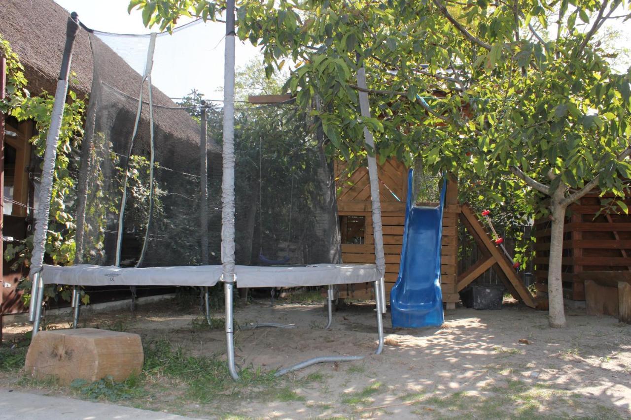 Hotel Cerdacul Cu Stuf Sfântu Gheorghe Zewnętrze zdjęcie