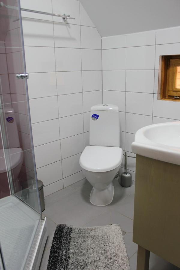 Hotel Cerdacul Cu Stuf Sfântu Gheorghe Zewnętrze zdjęcie