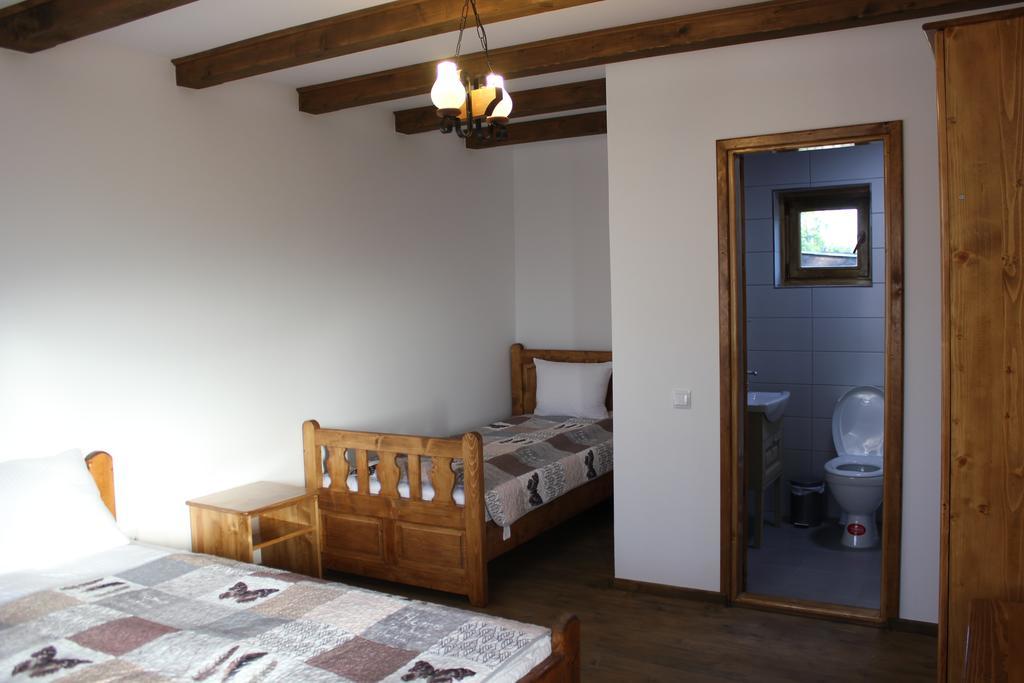Hotel Cerdacul Cu Stuf Sfântu Gheorghe Zewnętrze zdjęcie