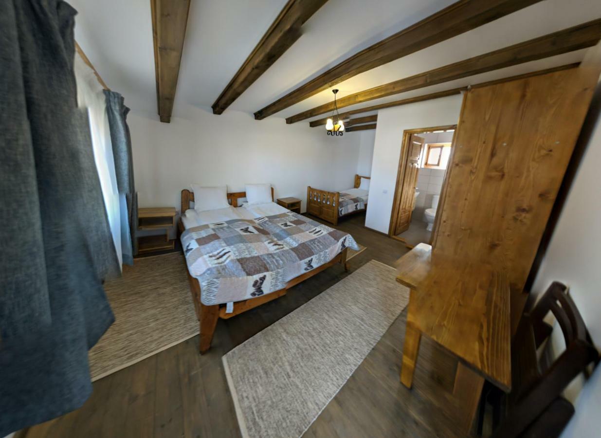 Hotel Cerdacul Cu Stuf Sfântu Gheorghe Zewnętrze zdjęcie